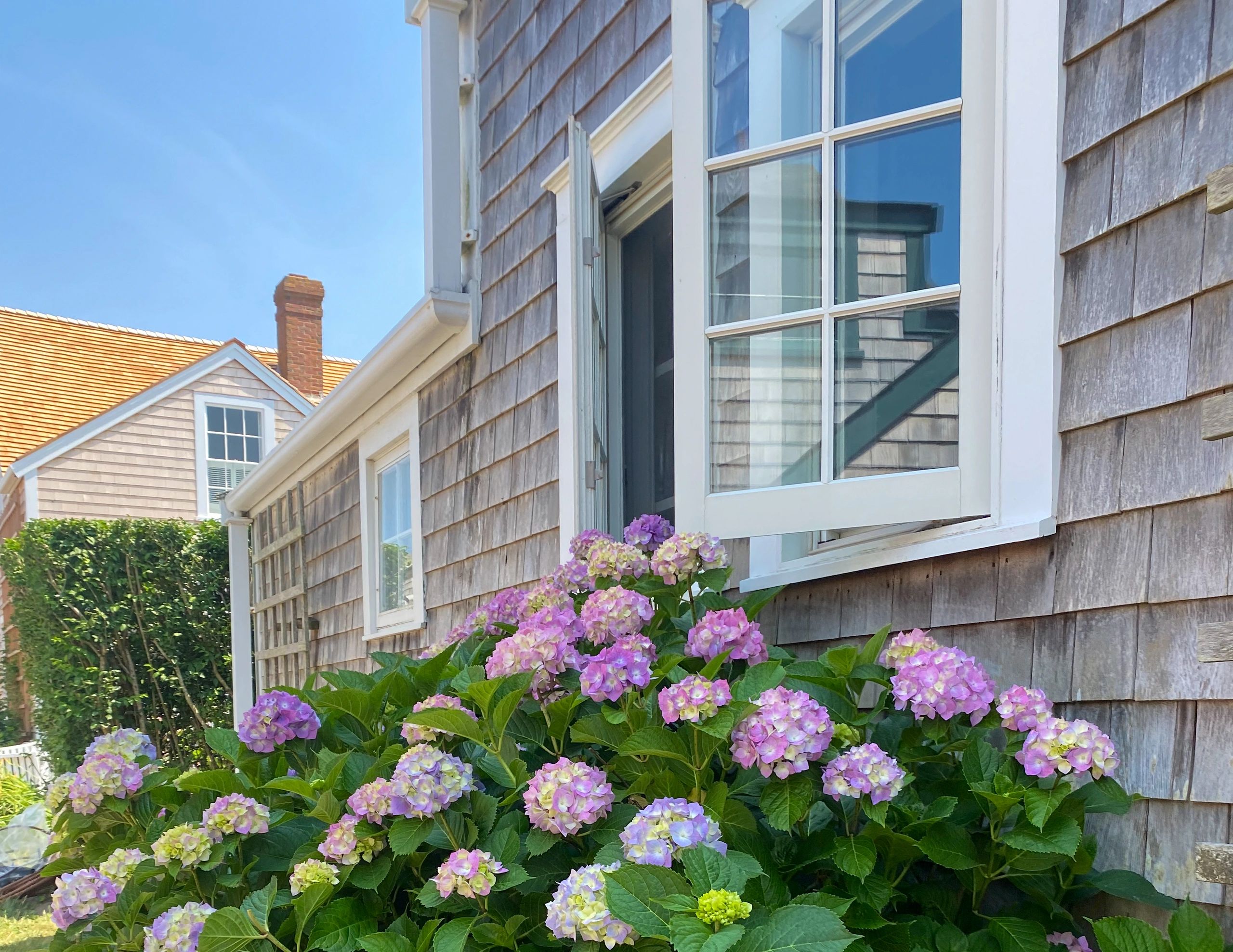 Coastal New England home exterior with hydrangeas